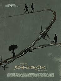 birds in the dark shashank walia 6ad2e12dc2425