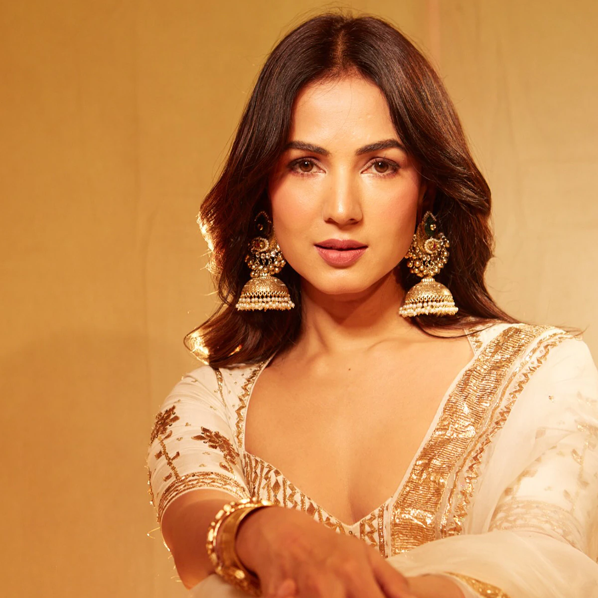 sonal chauhan1 6ac33343eb728