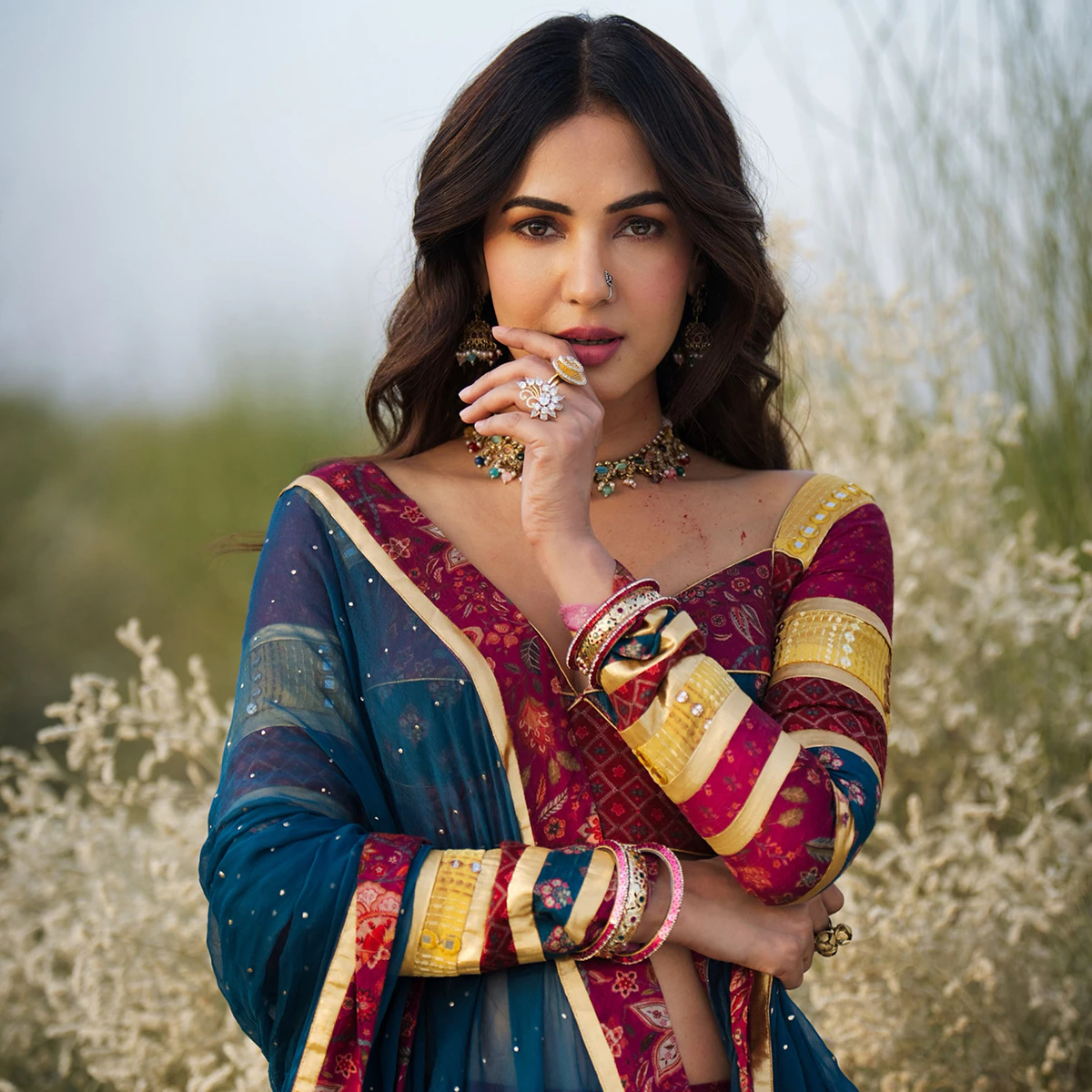 sonal chauhan3 6ac3334400a10