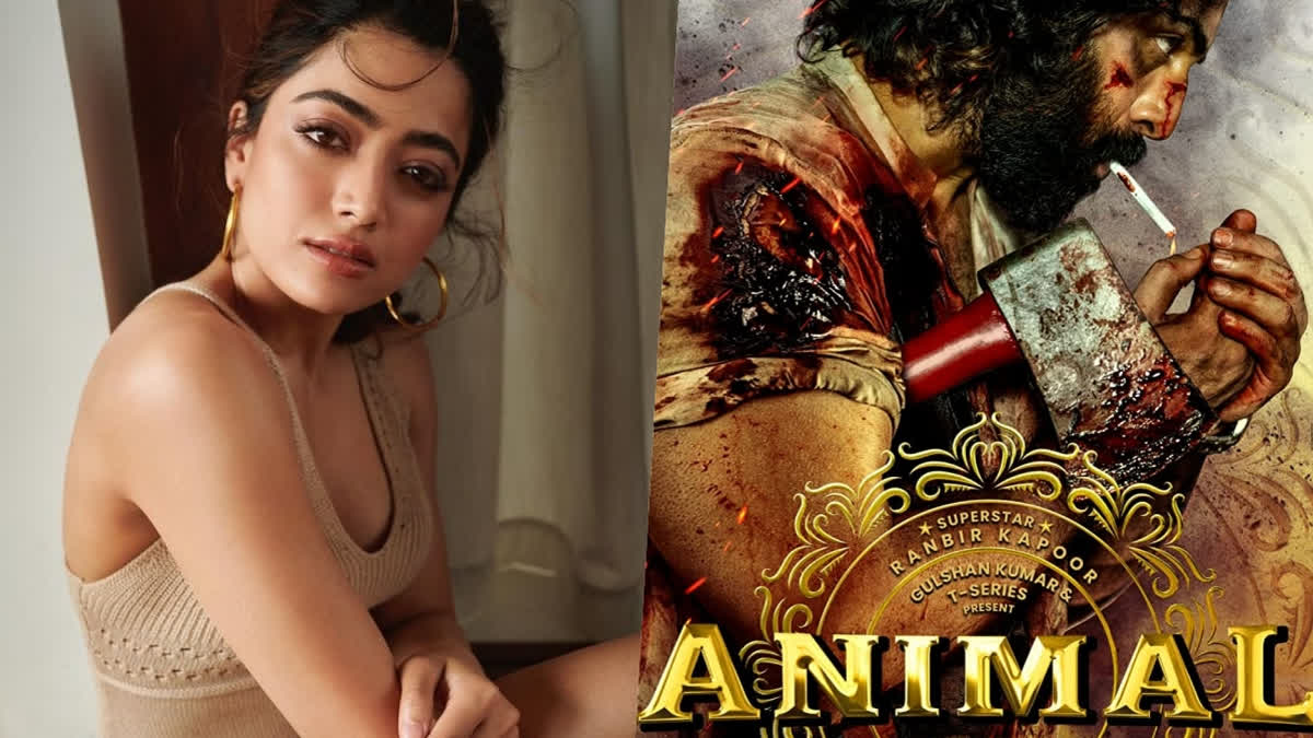 Rashmika Mandanna's Revelation about Animal's Sequel will blow your mind!