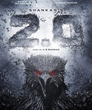 2.0