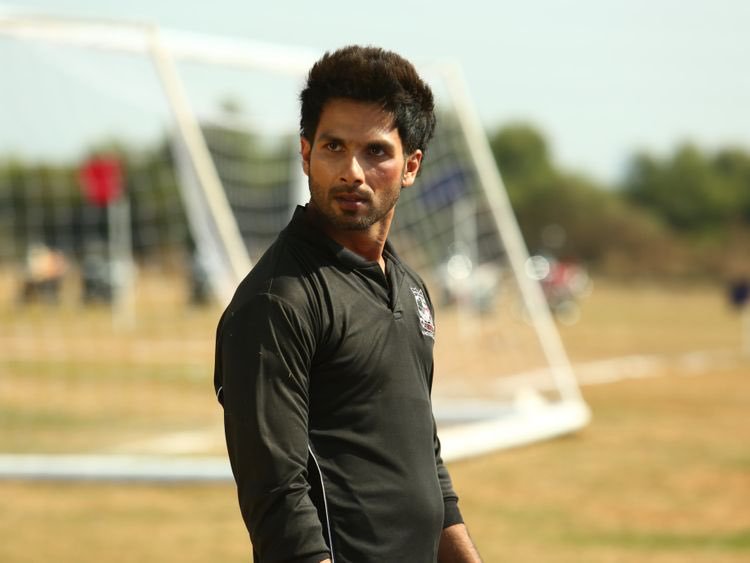 Kabir Singh Day 30 Box Office Collection