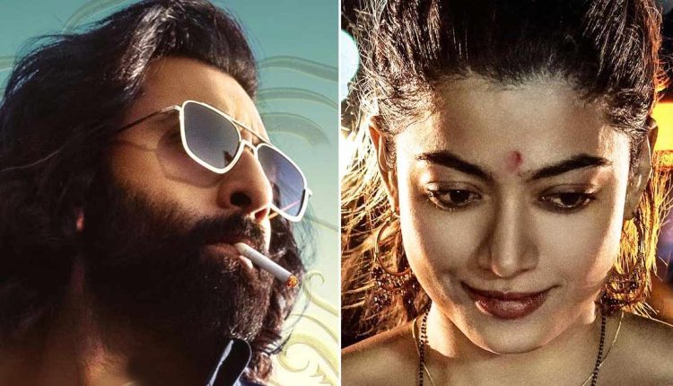 Animal Box Office Collection Surpasses Previous Records on Day 2