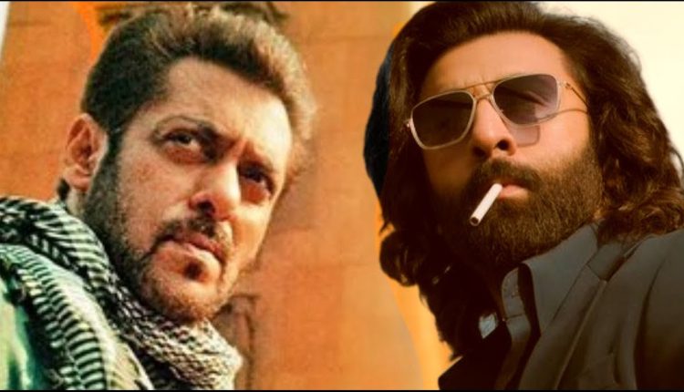 Ranbir Kapoor Film Animal Set to Roar at Box Office, May Challenge Tiger 3 on Day 1