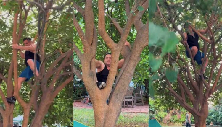 Salman Khan Effortlessly Climbs Tree, Shuts Down Trolls for Questioning His Fitness