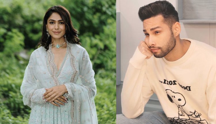 Bollywood Mascot : Siddhant Chaturvedi and Mrunal Thakur to Star in Sanjay Leela Bhansali Upcoming Romantic Drama ‘Tum Hi Ho’