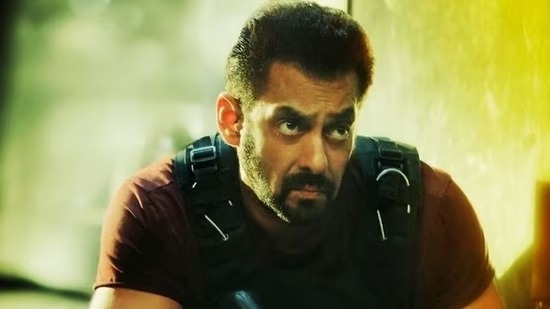 Tiger 3 Box Office Collection Day 15, Salman Khan Starrer Continues Spectacular Run