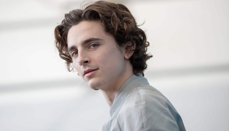 Timothée Chalamet Fined for Riding E-Bike to 'A Complete Unknown' London Premiere